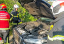 Nö: Entstehungsbrand an Hybridfahrzeug in Wr. Neudorf mit Feuerlöscher bekämpft