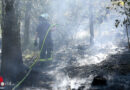 D: Rund 400 Kräfte bei Waldbrand mit starkem Wind in Mielkendorf im Einsatz