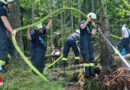 Oö: Baumbrand am Rettenbacher Kreuz → Großeinsatz in Bad Ischl