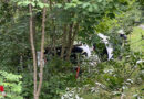 Nö: Pkw landet bei Unfall auf B 20 bei Türnitz im Buschwerk → Personenrettung