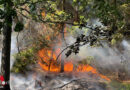 Nö: Bahndammbrand bei Hoheneich entwickelte sich zu Waldbrand → schnelles Handeln der Feuerwehren wirkte