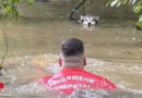 D: Hund in Leine mitten im Teich gefangen → schwimmende Tierrettung in Ennepetal