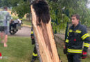 Bgld: Blitz spaltet Baum beim Friedhof in Loretto