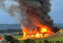 Oö: Großbrand auf landwirtschaftlichem Anwesen in Pöndorf → Alarmstufe III → Heustockdurchzündung