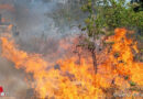 USA: 2. Alarm bei Busch- und Grasfeuer bei extremen Temperaturen in Fort Worth