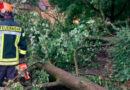 D: Mehr als fünf Stunden Einsatz nach Unwetter über Vreden