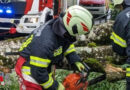 Oö: Baum stürzte in Adlwang in Garten