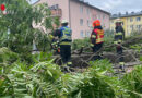 Nö: Vier Sturmschäden und eine Aufzugrettung in Mödling