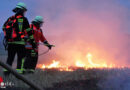 D: Vegetationsbrandbekämpfung in Celle praktisch beübt