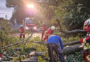 Bayern: 800 Feuerwehr-Freiwillige meistern am 26. August 2023 im Landkreis Traunstein über 250 Unwetter-Einsätze