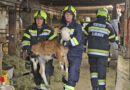 Stmk: Wirtschaftsgebäudebrand und weitere Unwettereinsätze rund um Knittelfeld am 26. August 2023