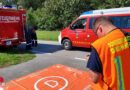 Nö: Schwer verletzter Schwan bei Melk aus Donau gerettet