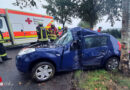 D: 31-jährige Autofahrerin kollidiert mit Dacia bei Heinbockel mit Baum → tödlich verletzt