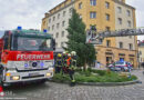 Nö: Weihnachtsbaum in Baden in Not