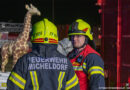 Oö: Windböe erfasst Zirkus-Tierzelt in Micheldorf