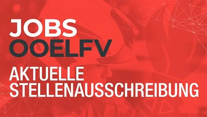 Stellenausschreibung-O-LFV-IT-Applikations-Manager-in-Junior-