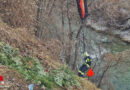 Stmk: Hunde-Rettung mittels Kran aus dem Thörlbach in Kapfenberg