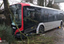 D: Linienbus in Ratingen gegen Baum geprallt → mehrere Verletzte