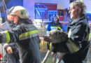Bgld: Hund bei Wohnungsbrand in St. Martin an der Raab gerettet