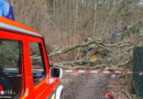 D: Verkehrsunfall und zwei Unfälle bei Waldarbeiten forderten Verletzte in Asbach