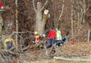 Bayern: 46-Jähriger in Marktschellenberg unter Baum eingeklemmt und schwer verletzt