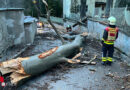 Nö: Feuerwehr Mödling nach Sturm in der Nacht auf 5. Februar 2024 nahezu im Dauereinsatz