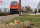 Oö: Lok streift auf Bahnübergang in Fraham Heck eines Holztransporter-Anhängers