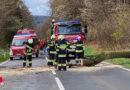 Stmk: Umstürzender Baum verfehlte Pkw auf der B 54 bei Feistritztal nur knapp → Auto an der Front ramponiert