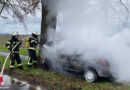 D: Pkw brennt nach Kollision an Baum in Bergheim → ein Todesopfer