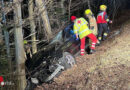 Nö: Pkw gegen Baum bei Pressbaum → zwei Eingeklemmte → drei  Schwerverletzte, ein Toter (20)