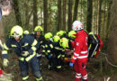 Oö: Tragehilfe nach Forstunfall in Rohrbach-Berg