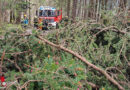 Oö: Baum stürzte über Straße → Einsatz Bad Goisern am Ostermontag 2024