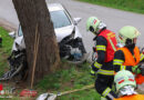 Oö: Leichtverletzte Person bei Autokollision mit Baum in Thalheim bei Wels