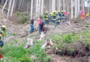 Stmk: Baum prallt bei Forstunfall gegen Arbeiter → Personenrettung im schwierigen Gelände