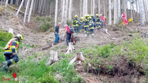 Stmk: Baum prallt bei Forstunfall gegen Arbeiter ? Personenrettung im schwierigen Gelnde