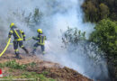 Oö: Waldbrand in Wartberg an der Aist rasch gelöscht