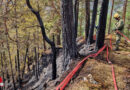 Stmk: Tag 8 → Anhaltender Einsatz beim Waldbrand im Bereich Wildalpen (8. April 2024)