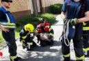 Nö: Beim Heurigen ausgebüxter Ziegenbock von Feuerwehr gefasst