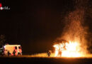 Nö: Großes Bienenhaus in Wolfpassing in Flammen aufgegangen