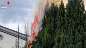 Schweiz: Mehrere Meter hohe Zypressen nach Unkrautvernichtung in Brand