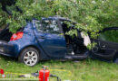 Oö: 19-Jährige nach Pkw-Kollision mit Obstbaum bei Dietach aus Auto befreit