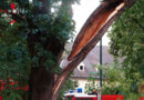 Nö: Baum auf Gebäude in Böheimkirchen erfordert Schwerkran-Einsatz