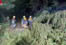 Bayern: Gewitter hält Feuerwehren Traunsteins am 13. August 2024 erneut auf Trab