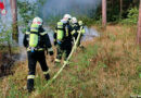 Nö: Vegetationsbrand im Föhrenwald