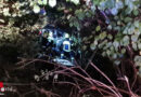 Oö: Pkw stürzt in Scharnstein im steilen Gelände in die Vegetation