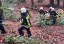 D: Aufwendiger Rettungseinsatz nach Traktorunfall im unwegsamen Wald in Hattingen