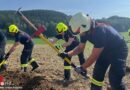 Oö: Spezialausbildung für Vegetationsbrandbekämpfung im Bezirk Freistadt