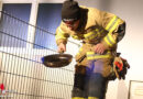 Oö: Drei Rauchgasverletzte nach Brand einer Pfanne in einer Wohnung eines Mehrparteienwohnhauses in Bad Hall