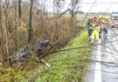 Oö: Notabbruch eines Überholmanövers auf B 133 endet an Büschen und Bäumen