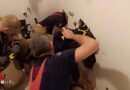 Stmk: Junge Katze „Cherry Pie“ in Graz aus Installationsschacht freigestemmt
